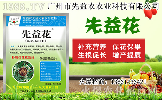 水仙花形態(tài)特征及生長習性,水仙花栽培方法!