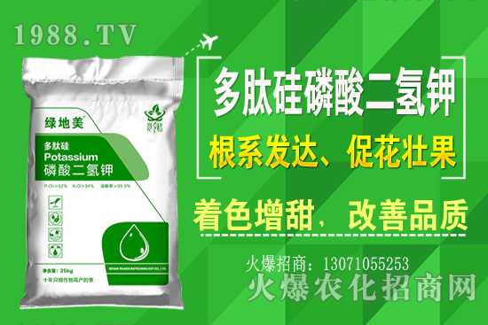 �۲˵ă�(y��u)��Ʒ�N����Щ���۲˷Nֲ���L�h(hu��n)�������Nֲ���g(sh��)��