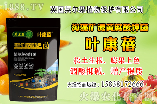 ��ô�Д����׺�ˮ��������������ˮ���й��ж���(j��ng)���