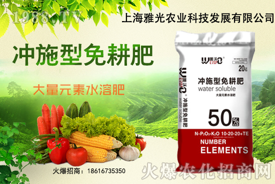 白菜一畝地需要多少肥料,白菜施肥過后需立即澆水嗎?