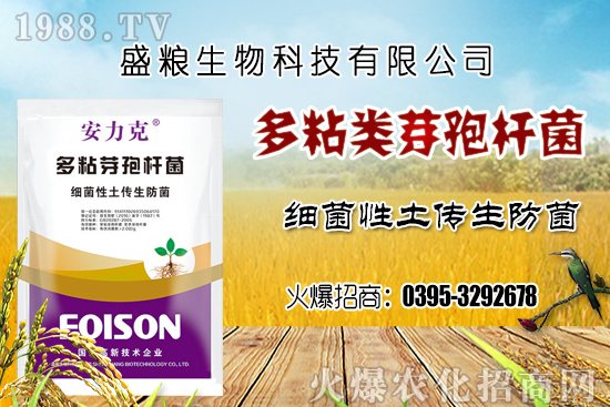 ܇?y��n)��ӷNֲ�h(hu��n)��Ҫ�����Ď��c(di��n)��܇?y��n)������N�x�����N�׷N��