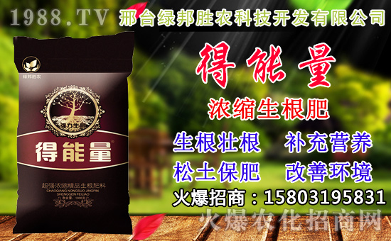 2020��С���N������x���߮aС��Ʒ�N����Щ��