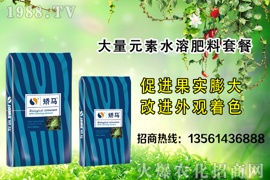 �＾����ʩ�ʵĺ�̎����Щ���＾����ʩ��ָ��(d��o)������