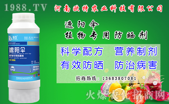 �R������Ժ���Щ�����׷N���R����׷Nģʽ��ʲô��̎��