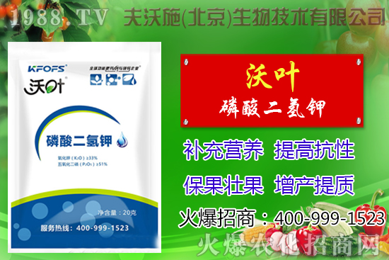 ���t��ժ�~����Щ��̎������ժ�~���g(sh��)��ע�����(xi��ng)��