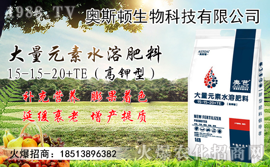 小麥價格行情能上漲多少？附今日新小麥價格