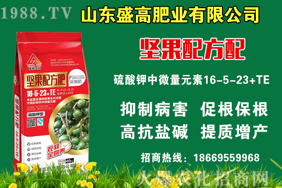 小麥價(jià)格還要上漲嗎？9月9日國(guó)內(nèi)小麥價(jià)格行情！