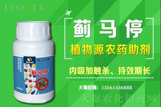 2021��2��11���K�ƽ�U�����x���r��