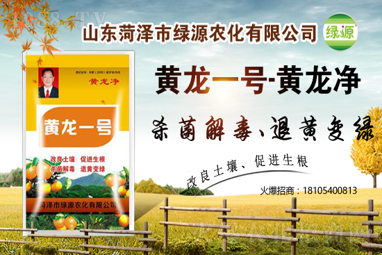 ���z��(sh��)�������r(ji��)������2021��2��13��