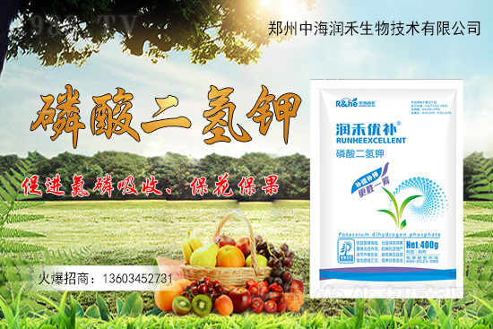 果樹(shù)一整年到底該怎么施肥？果樹(shù)施肥注意事項(xiàng)有哪些？