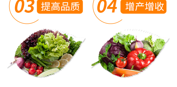 ��(qi��ng)����������-���r(n��ng)����(y��u)ؐ-���r(n��ng)����_07