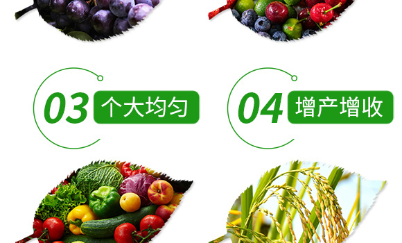 花椒催花保果(50g)-椒滿多-施多收_07