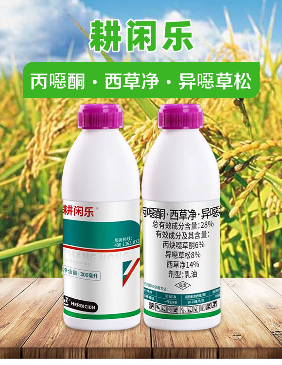 28%���fͪ�����݃������f����-���e��-���r(n��ng)����_01