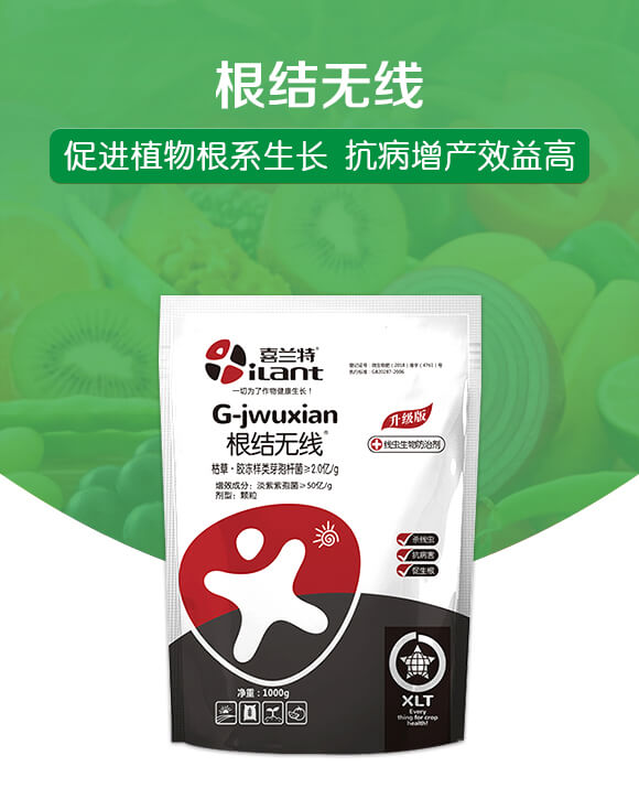 ���Y(ji��)�o(w��)��-ϲ�m��_01