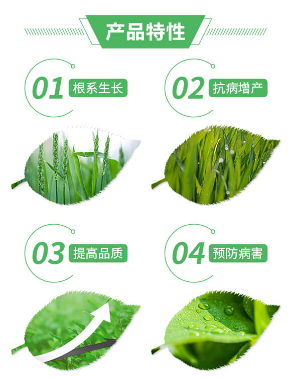 ���Y(ji��)�o(w��)��-ϲ�m��_02