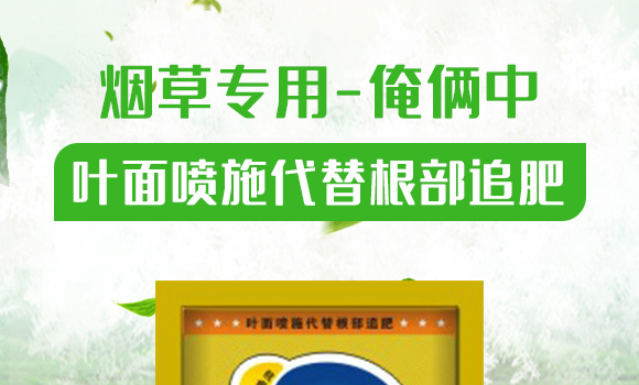 ���݌���-���z��-��Gֲ��_01