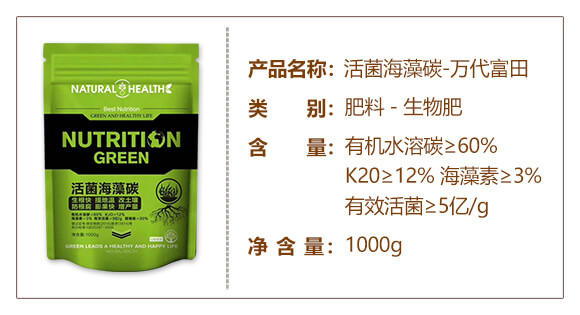 �������̼-�f������_02