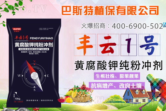 ������Y(ji��)/�}�n��/�ữ�y��Q�������S����⛼��ۄ���