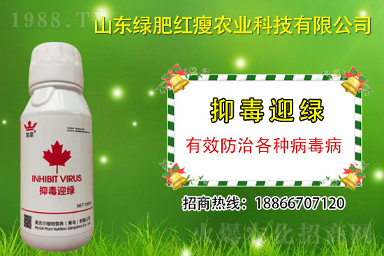 防治病毒病再也不用拔,“抑毒迎綠”專治病毒。