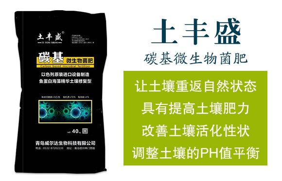 ̼��΢�������-���Sʢ-�����_(d��)_02