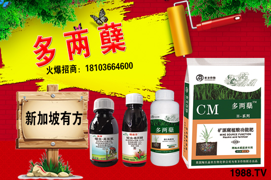 2021葡萄柚種植前景如何？葡萄柚和普通柚子有何區(qū)別？