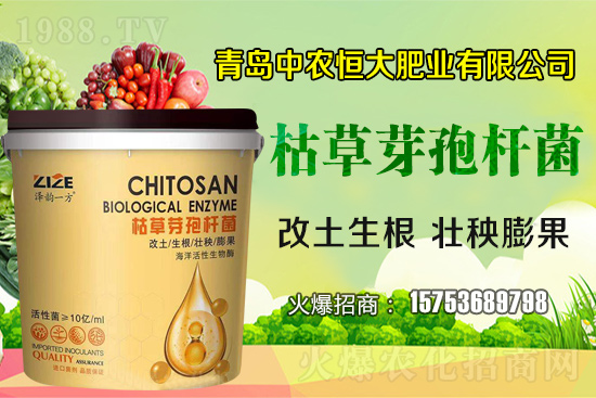 �ݲ�ѿ�ߗU������ǡ����С������ݲ�ѿ�ߗU�����w�������˽����