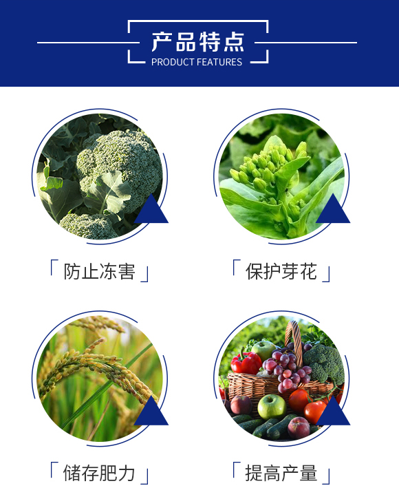 寒伏-昕爵集團(tuán)_03