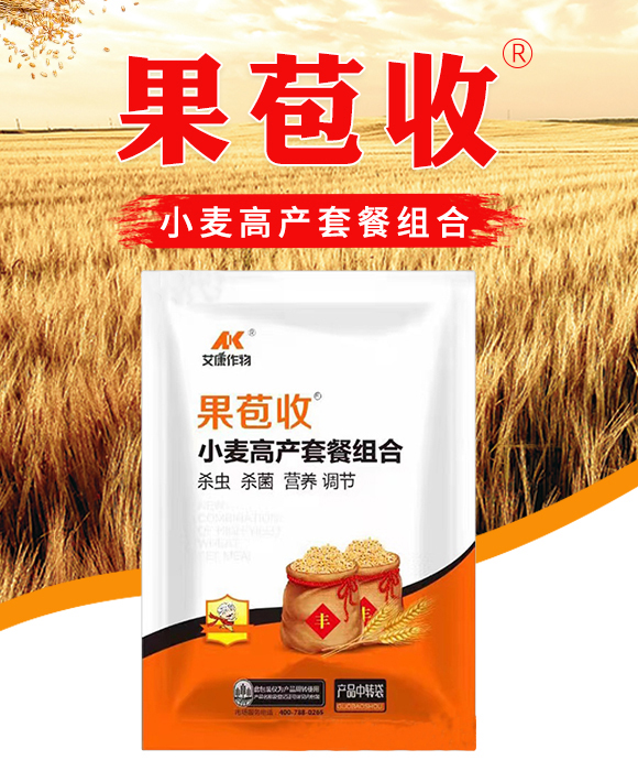 ������-��������_01