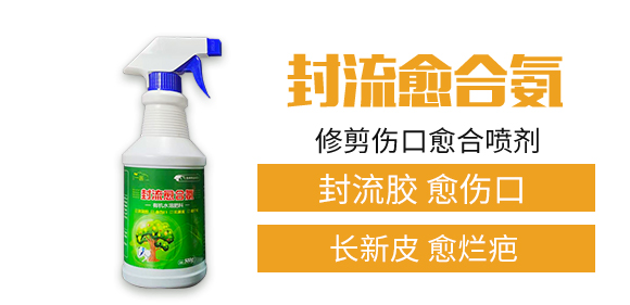 ����һ��(hu��)�r(n��ng)�I(y��)�Ƽ����޹�˾_02