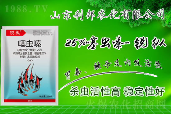 ���x(ch��ng)���r(ji��)��