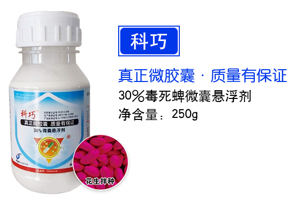     30%������΢�ґҸ���-���ɣ�-�|�� (1)