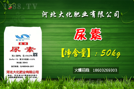 �t��������������Xһ�ã��Nֲǰ�������