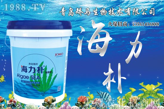 雪桃苗價格多少錢一棵？2021年種植雪桃能賺錢嗎？