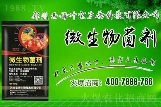 �����m��¶��������߲�Ʒ�N����Щ������Щ�Nֲע�����(xi��ng)��