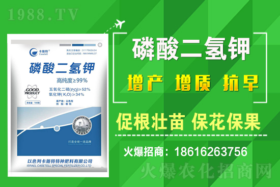 ���˷Nֲ��Ҫע����Щ���}�����˷Nֲԓ��ôʩ�ʣ�