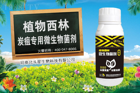 稻瘟靈殺菌劑價(jià)格走勢(shì)2021.3.24