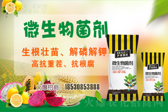 ��ݮ�����F(xi��n)���l���l(f��)������ҪԴ��ʲô������