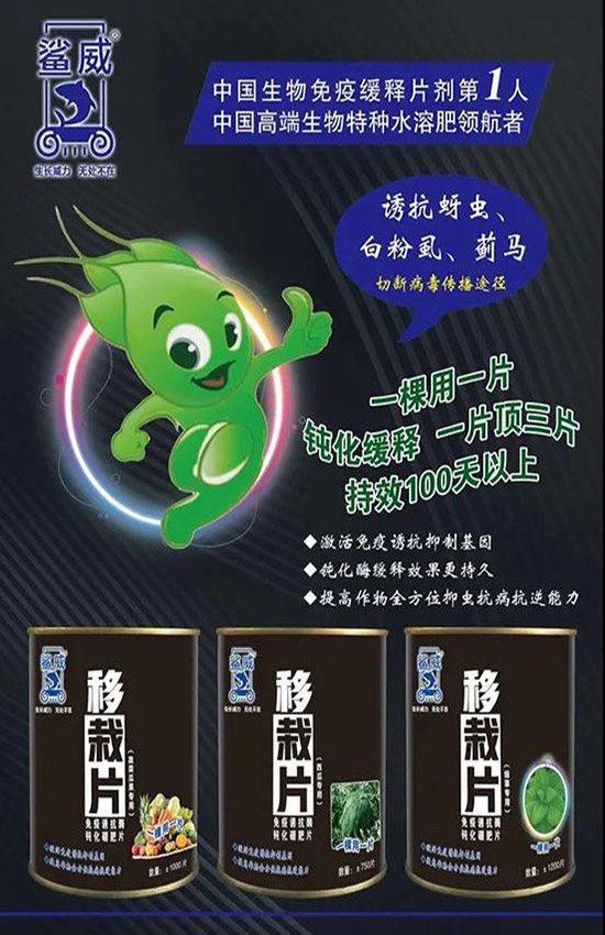 作物移栽時(shí),怎么做能有效避免蟲害呢?