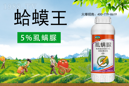 ʭ����������ô�������x���c(di��n)��ʲô��