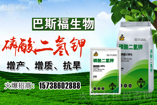 С���r��F(xi��n)�ڶ����Xһ�������������߄���Σ�