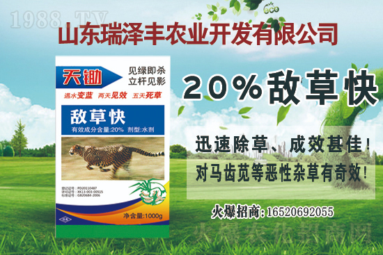 ����������݄��r��2021��4��6��