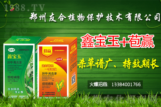 2021��5��10�մ����rˎ�r���Ӎ