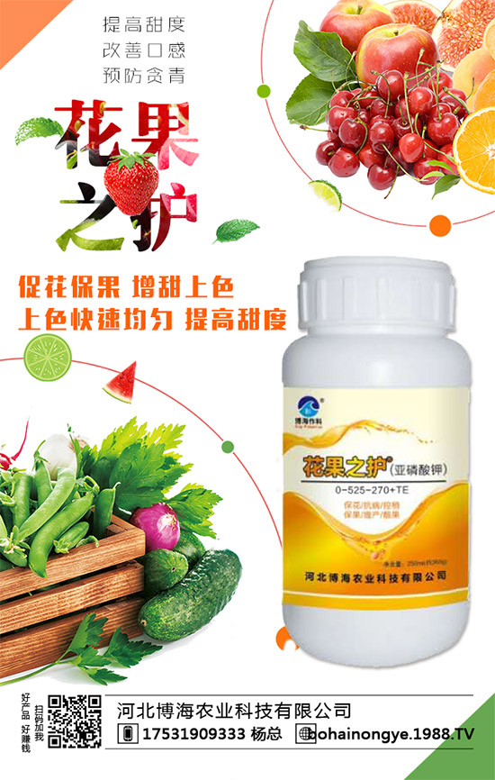 �����r���ٴ����v���r�����̾W�����F��I(y��)�°l(f��)չ��