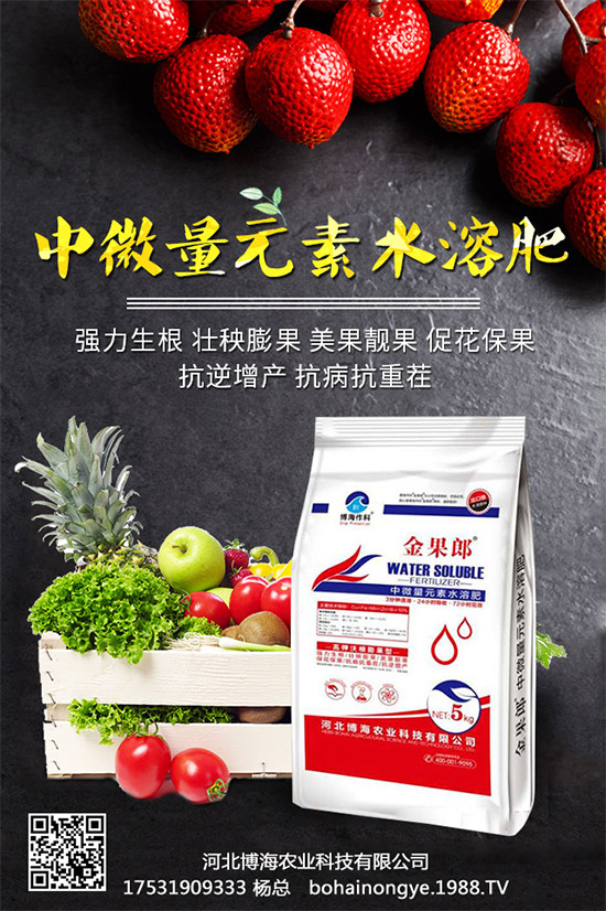 �����r���ٴ����v���r�����̾W�����F��I(y��)�°l(f��)չ��