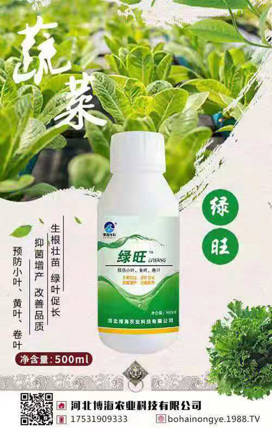 �����r���ٴ����v���r�����̾W�����F��I(y��)�°l(f��)չ��