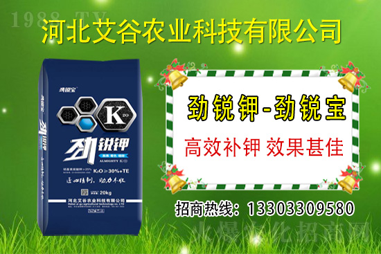 2021年6月1日國內鉀肥價格走勢分析