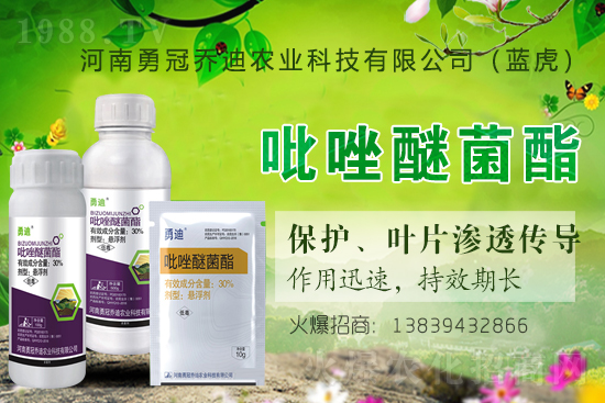 �����������¹چ̵ϣ��{�����ٺ�1988.TV������(chu��ng)���x�ͣ�