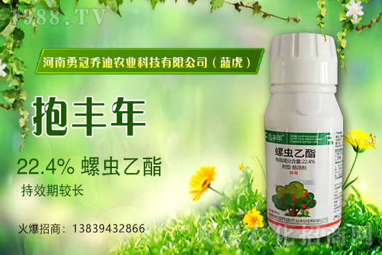 �����������¹چ̵ϣ��{�����ٺ�1988.TV������(chu��ng)���x�ͣ�