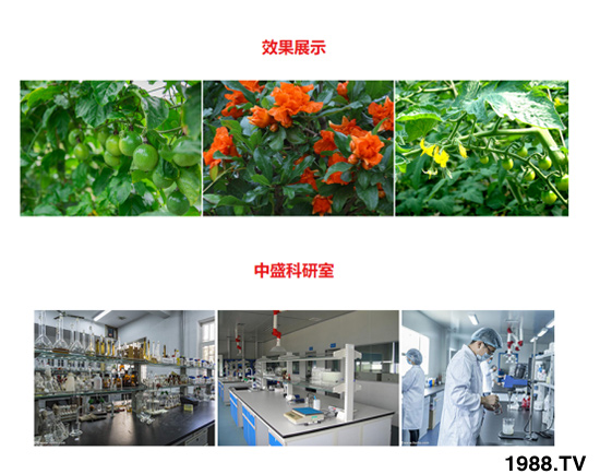 200g��������ˮ�ܷ� ��ؾ��A �r(n��ng)������4