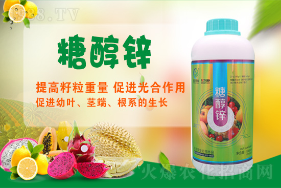 ����a�\�����Ǵ��\���Ǵ��\���ö�����Щ��